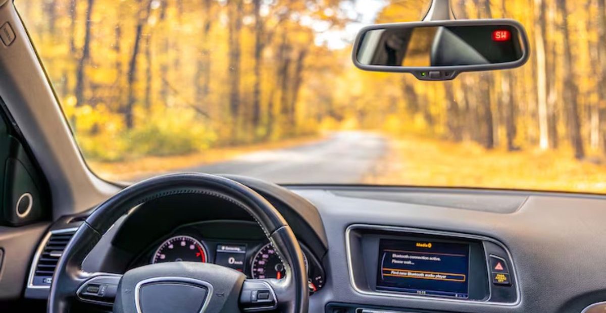 Windshield
